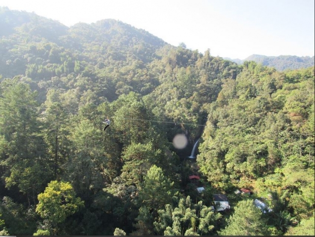  zip line in our ecopark 